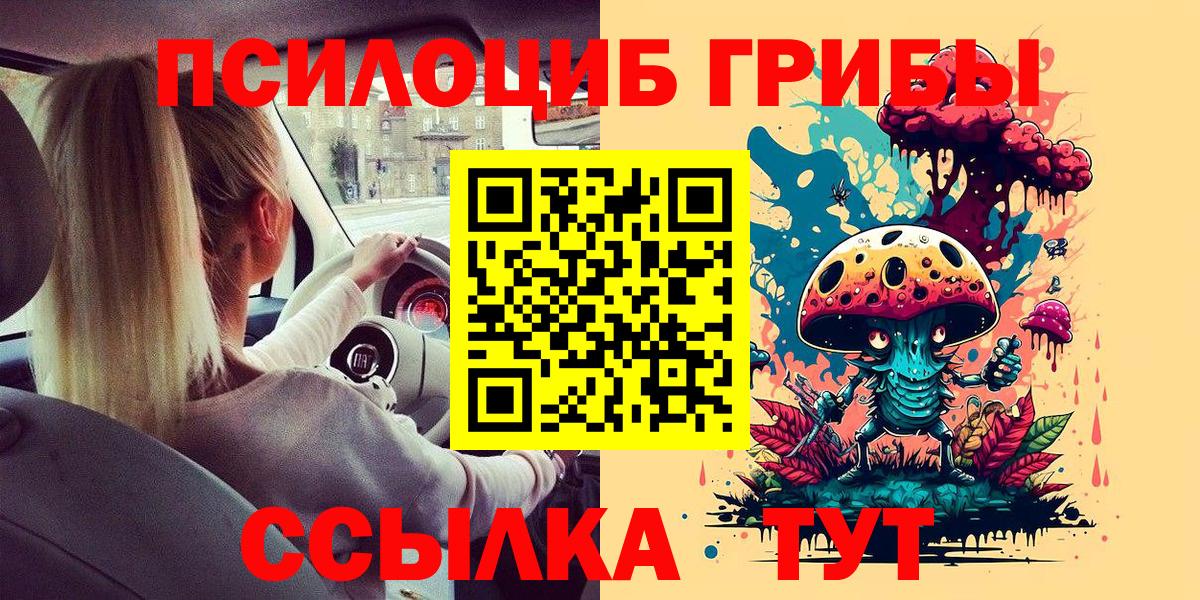 Псилоцибиновые грибы Psilocybe  Вход с VPN  Кингисепп  Псилоцибиновые грибы Psilocybine cubensis 